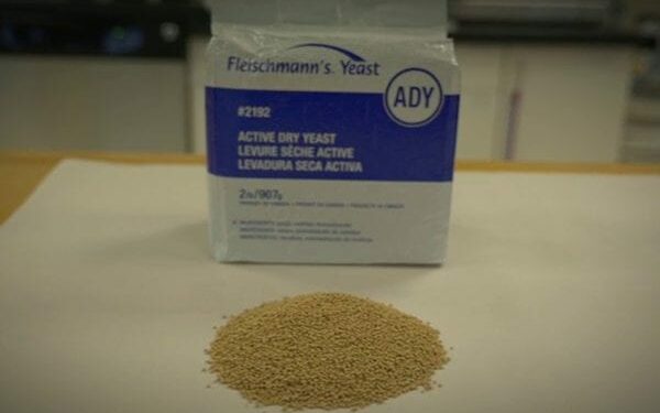 Yeast 101